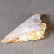 Apple Turnover With Fresh Cream