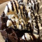 James Brownie Waffle