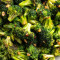 L29. Speciale Pranzo Con Broccoli Con Salsa All'aglio