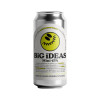 11. Mini Ipa Big Ideas Series 30