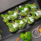 Tandoori Malai Broccoli (8 Pcs)