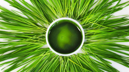 2Oz. Wheat Grass Shot