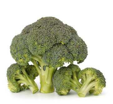 Broccolo