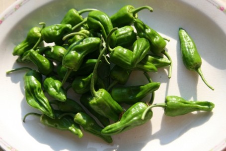 Padron Peperoncini