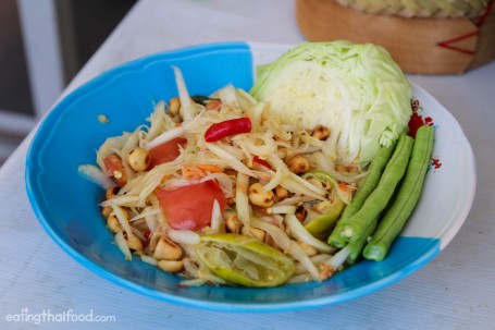 Insalata Di Papaya Verde