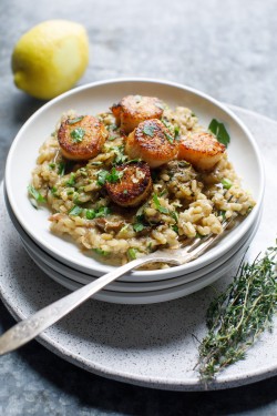 Risotto Porcini