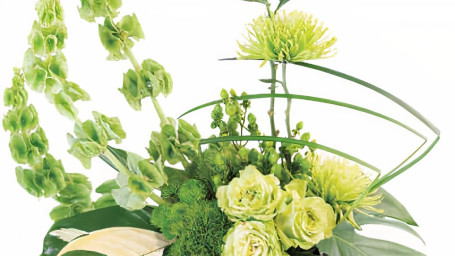 Lovely Lime Floral Arrangement