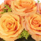 Tangerine Twist Roses Bouquet