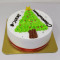 Beautiful Merry Christmas Cake