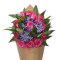 Bloom Haus 12 Plus Bouquet Di Rose Rosa