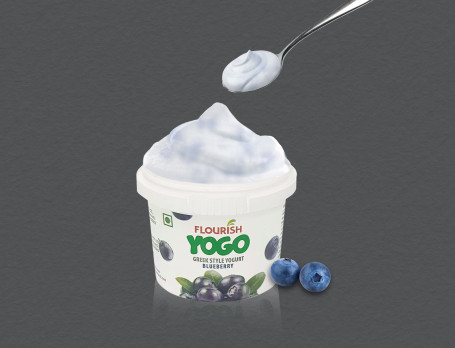 Blueberry Yogurt (90Gms)