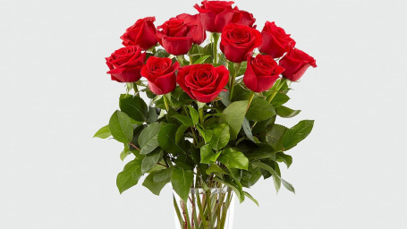 Dozen Red Rose Arrangement