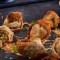 Crispy Sichuan Wontons Veg