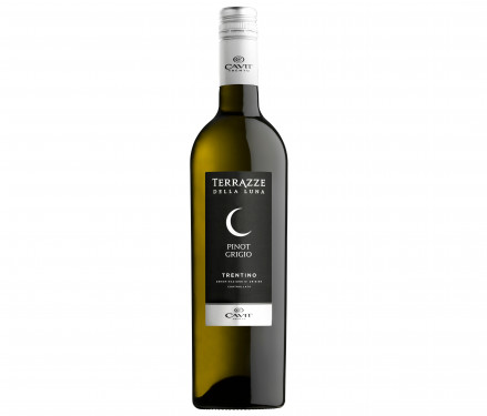 Pinot Grigio Terrazze Della Luna