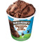 Fudge Al Cioccolato Di Ben Jerry