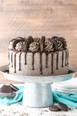 Eggless Light Oreo Chocolate Cake