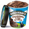 Ben Jerry's Pint Di Brownie Al Fudge Di Cioccolato