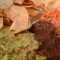 Patatine Fritte, Salsa Guacamole