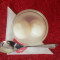 Rasgulla 10 Pcs