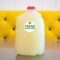 Fresh Limeade Whole Gallon