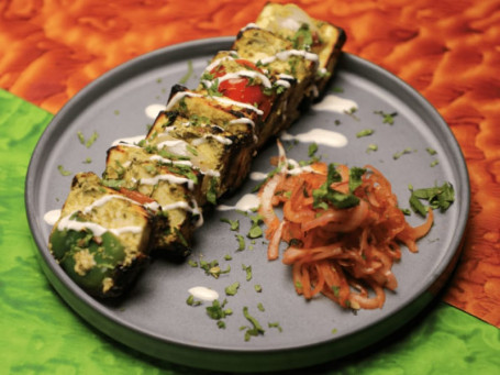 Dhaniya Pudhina Paneer Tikka