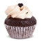 Mini Chocolate Mocha Cupcake