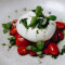 Andria Burrata With Tomatoes And Pesto