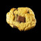 Cookies* Maison Chocolat