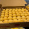 Promoção Box De Pão De Queijo 50 Unidades