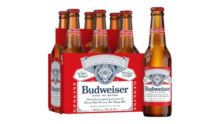 Bottiglia Budweiser 6Ct 12Oz