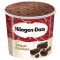 Pinta Di Cioccolato Belga Häagen Dazs