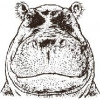 37. Hoppopotamus