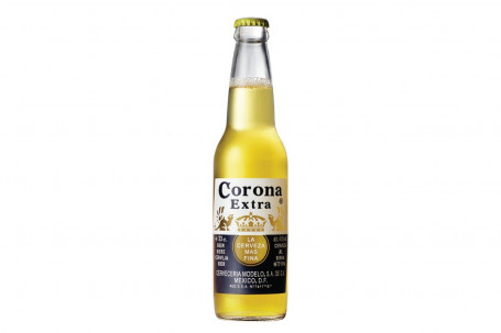 Corona Beer Bottle