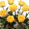 Dozen Yellow Roses