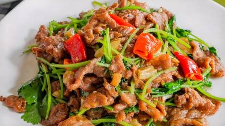 Stir Fried Beef W. Cilantro Xiǎo Chǎo Huáng Niú Ròu