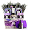 Set Regalo Spa Con Aromaterapia Lavanda Lilla