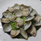 Qīng Jiàng Há Lí Dùn Fàn Stewed Rice With Clams In Green Sauce