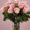 18 Long Stem Pink Roses