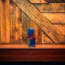 Redbull Can 250Ml