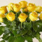 Long Stem Yellow Rose Bouquet