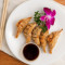 Sp2 Gyoza (5Pcs)