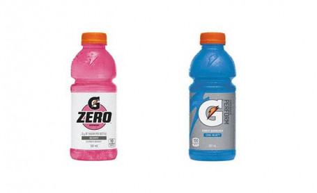 Gatorade (591 Ml)