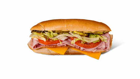 Hoagies Freddi A Doppia Carne E Panini Al Prosciutto Di Tacchino