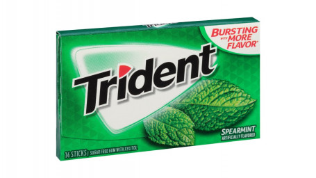 Trident Spearmint 14 Count