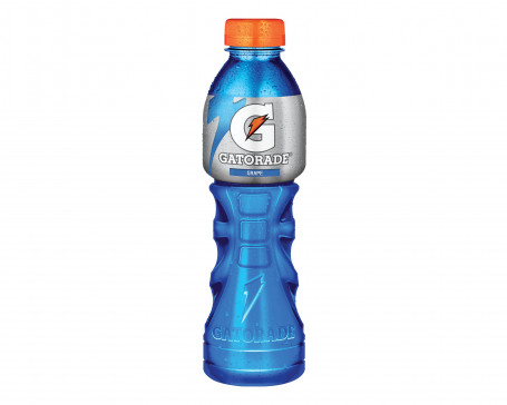 Gatorade Grape 600Ml Bottle