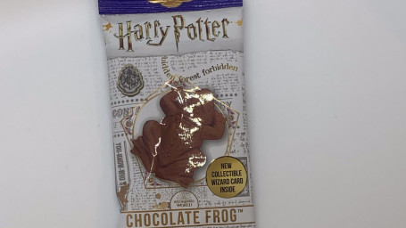 Harry Potter Chocolate Frog