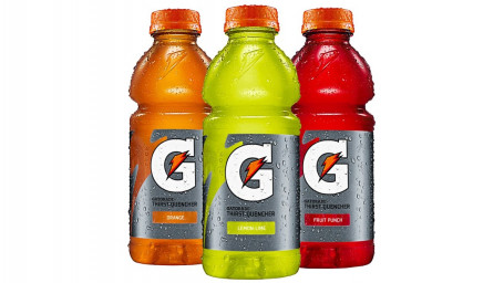 Bottiglia Gatorade Da 20 Once