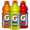 Bottiglia Gatorade Da 20 Once