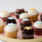 Mini Cupcake Dozen