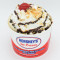 Extreme Hershey's Sundae